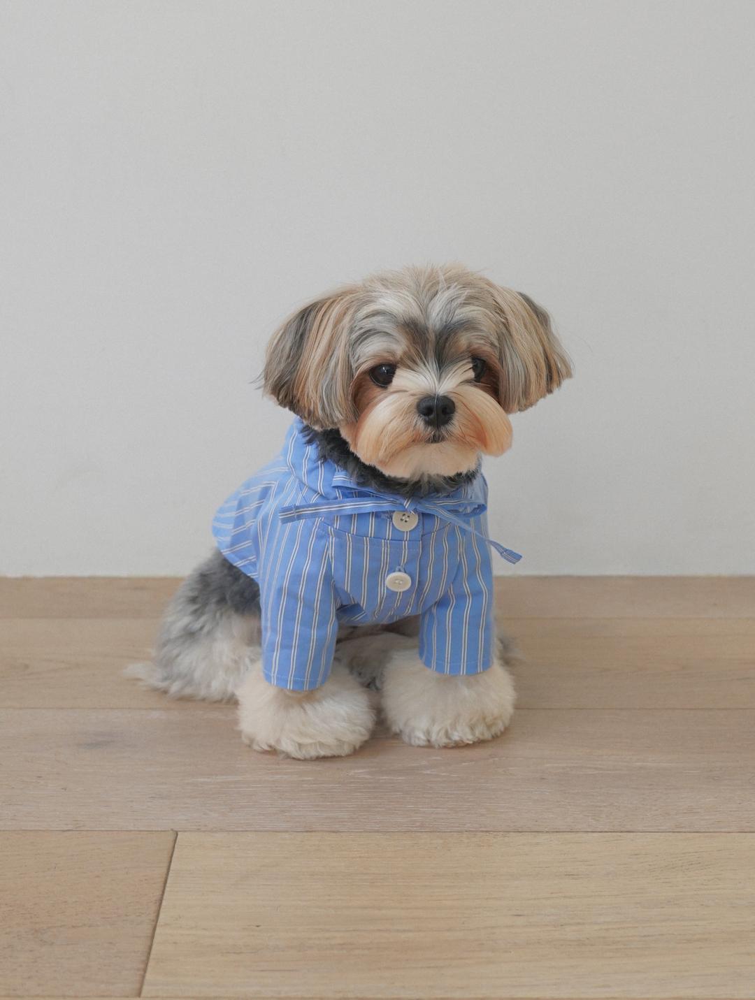 Striped Anorak (Blue)