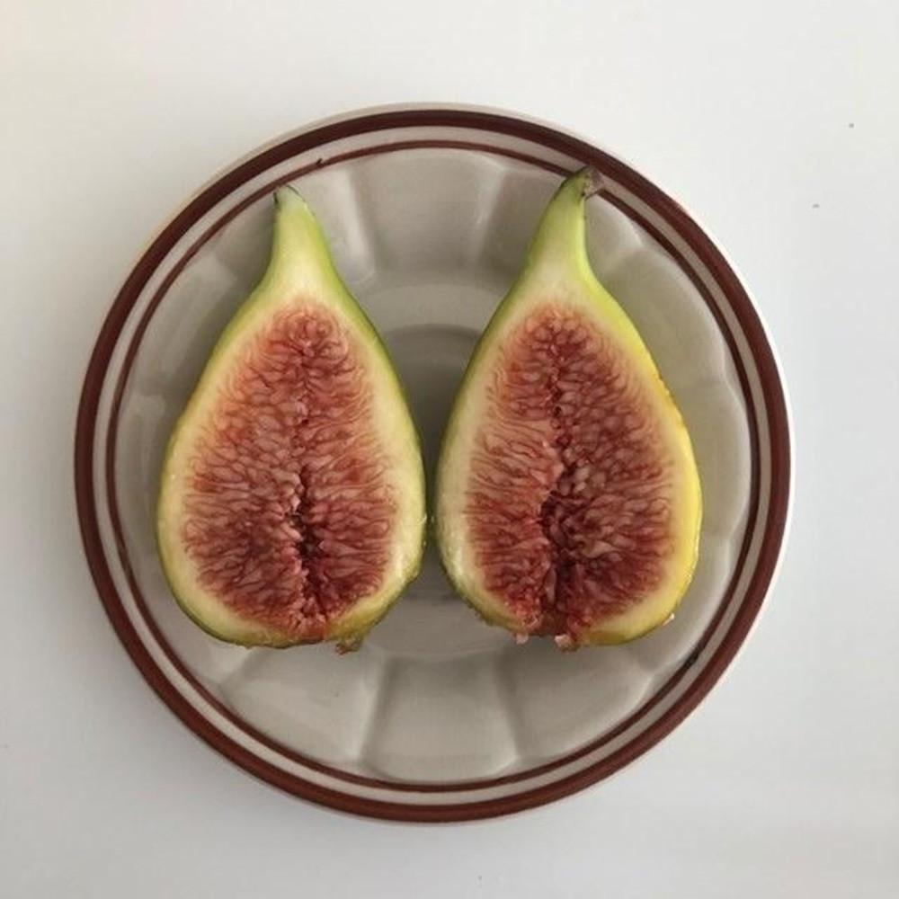 친환경 무농약 생 무화과 1.3kg 2.4kg 2팩 4팩