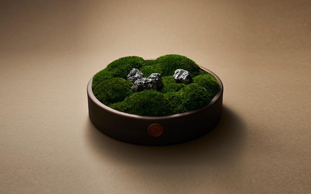 [격물공부] 프리저브드 이끼 트레이