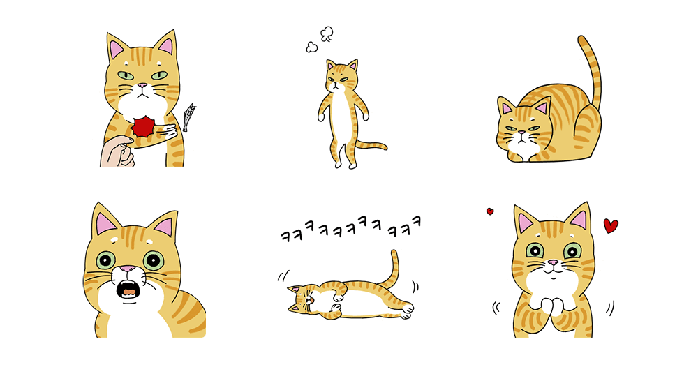 애용! 김애용!티콘