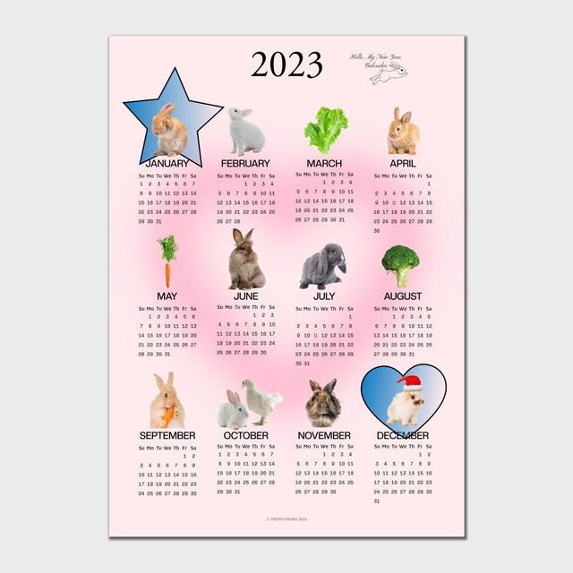 RABBIT CALENDAR 2023 토끼 달력 포스터