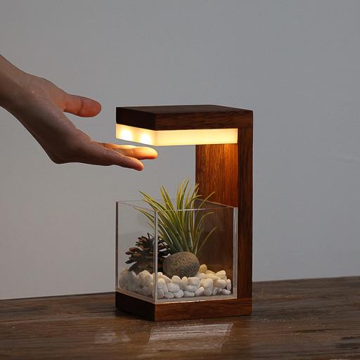 원목 LED 무선 플랜테리어 식물 무드등 집들이