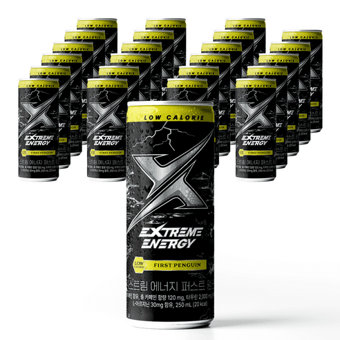 익스트림 에너지 퍼스트 펭귄