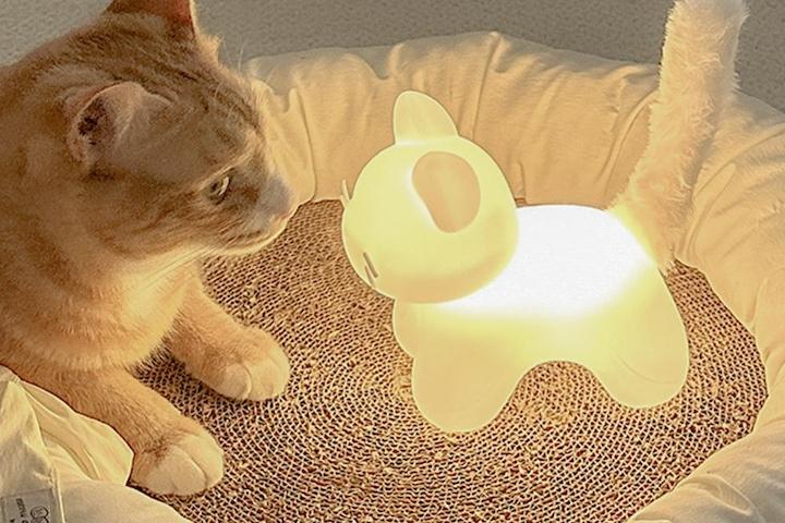 젤리냥이 무드등 고양이 무선 인테리어조명