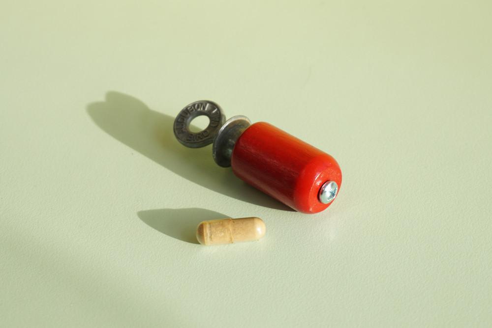 새 호출기, Bird call