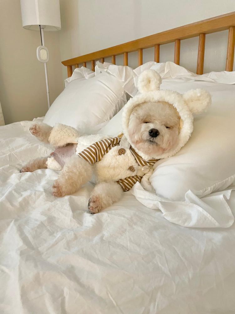 [무배] 패션퍼피 강아지옷 뽀글뽀글 곰돌이 털 모자 S-L