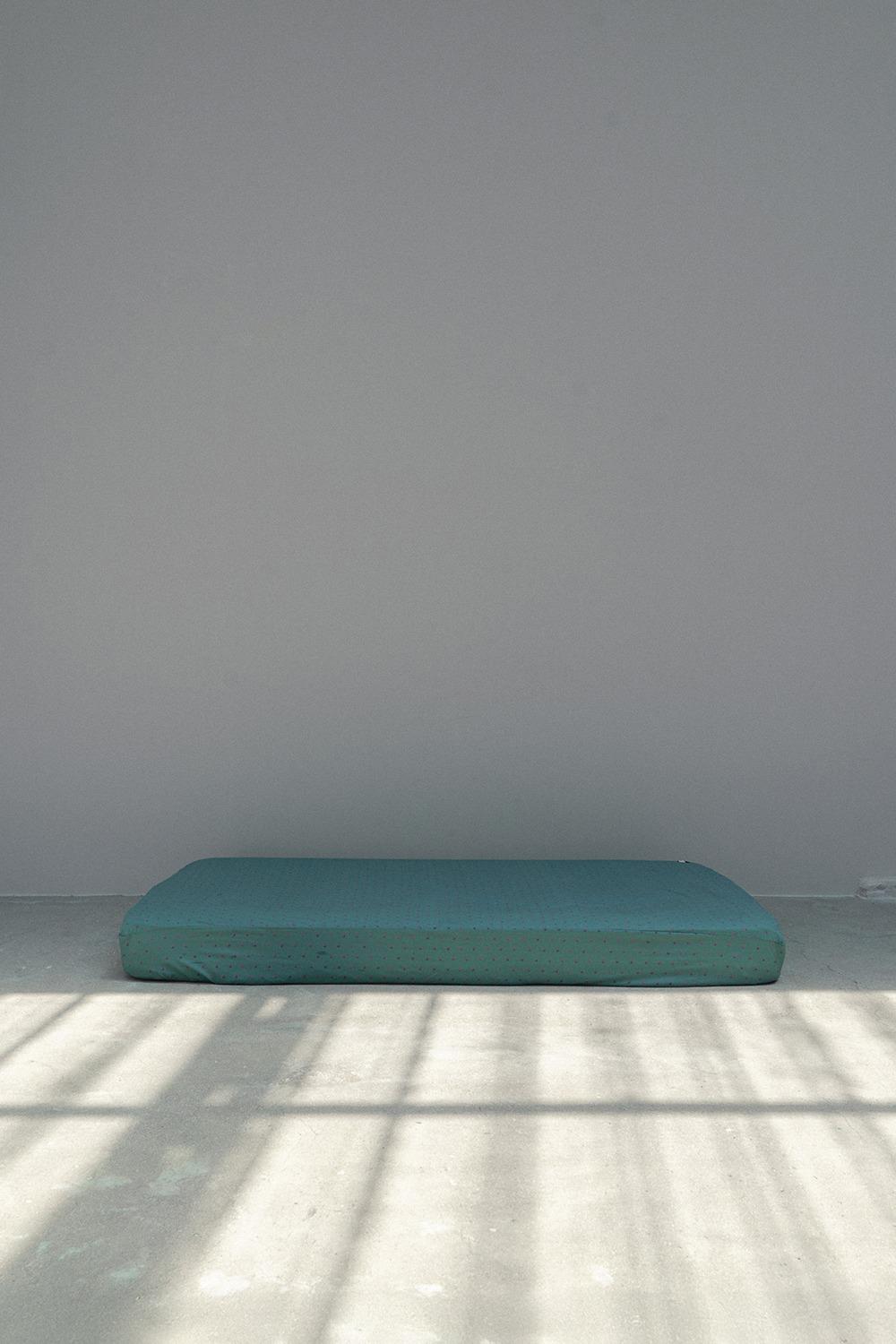 Raspberry Mattress Cover
