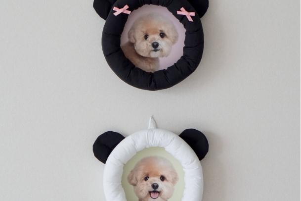 teddy cushion frame 5color