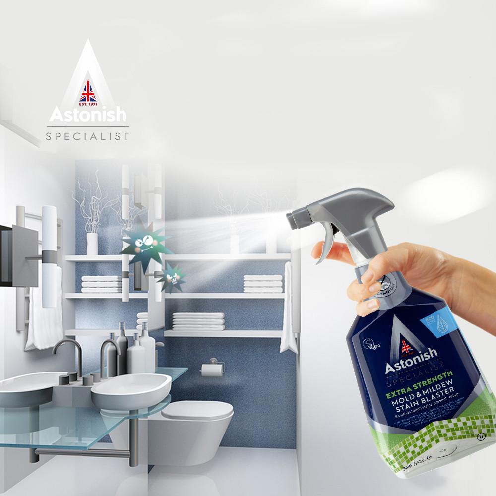 아스토니쉬 곰팡이제거제 벽 벽지 베란다 화장실 제거 750ml