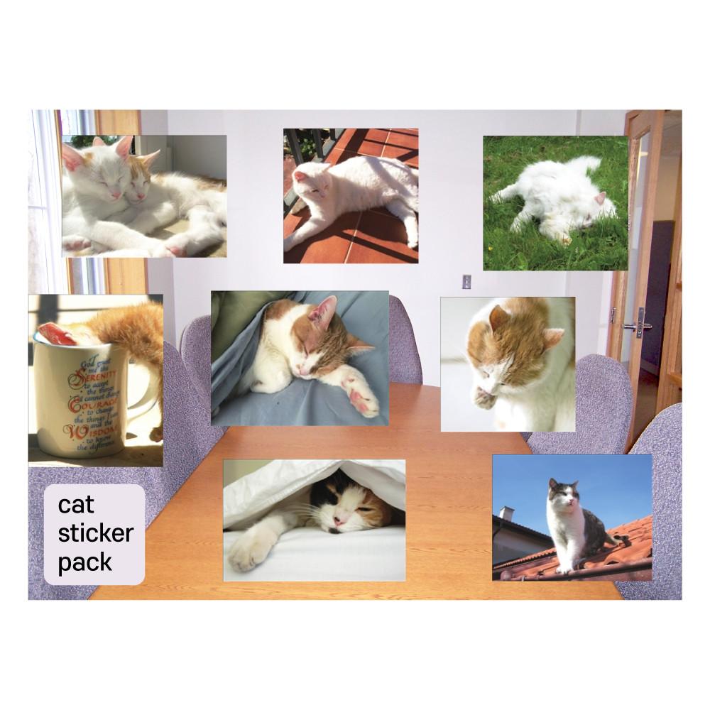 고양이 스티커팩 (8종)