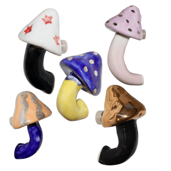 Mushroom magnet (5 options)
