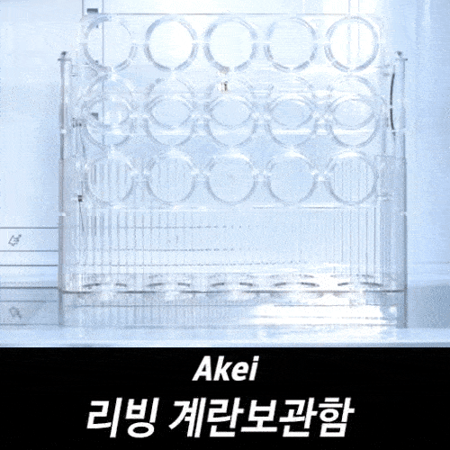 아케이 리빙 계란보관함