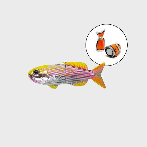 [피쉬] FISH MAGNET (TIGER QUEEN)