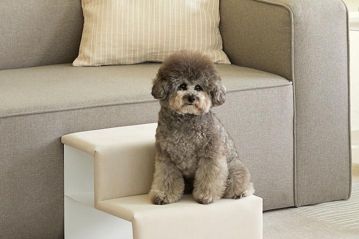 펫토 탄탄 강아지 고양이 계단/스텝 스탠다드형 2단 4colors