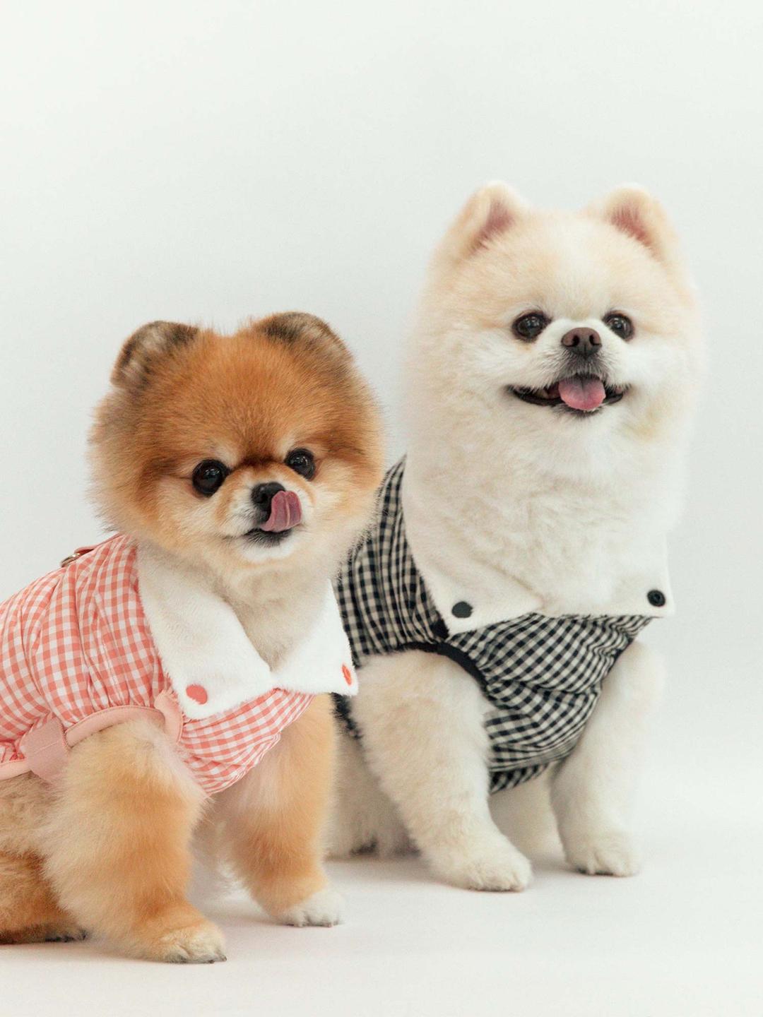 [EVENT] 포글 뜨뜨 패딩