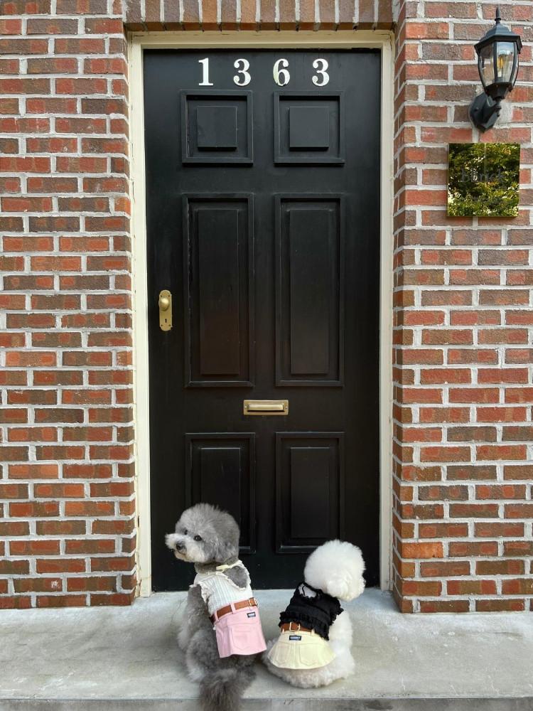 (mininut 미니넛) 8차 미니미스커트 [핑크 / 아이보리 / 옐로우]