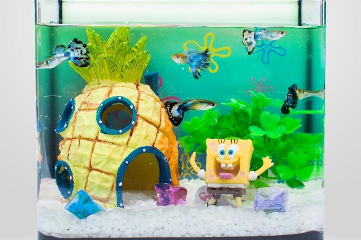 스펀지밥 미니어항세트 유리어항 스폰지밥 수족관세트