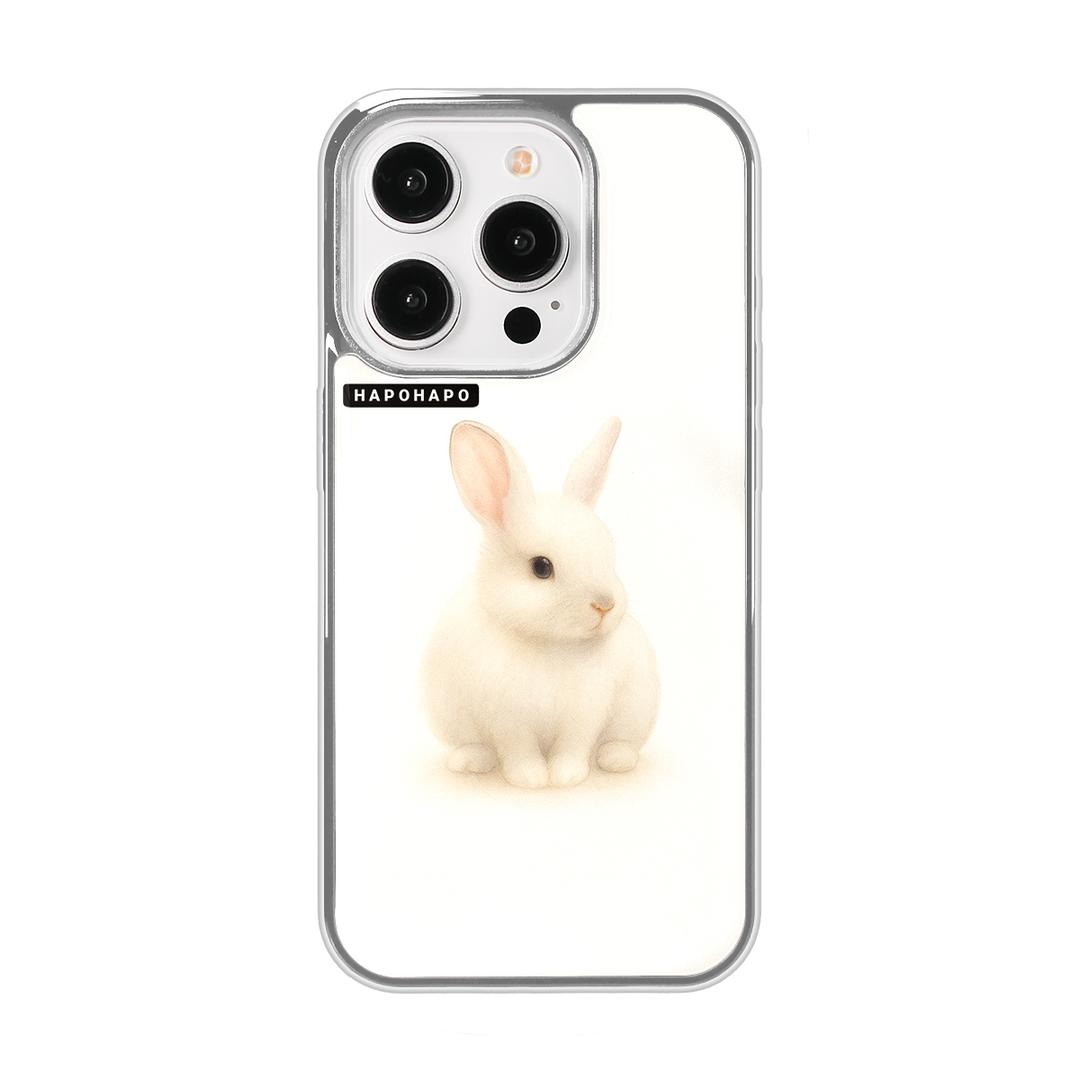 DRAW RABBIT