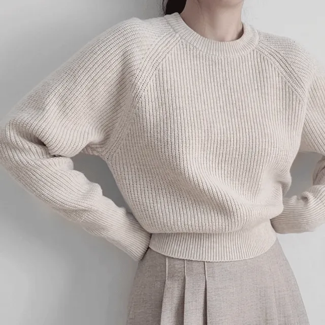 던스 워머 레글런 나그랑 하찌 크롭 니트