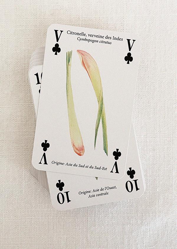 illust playing card