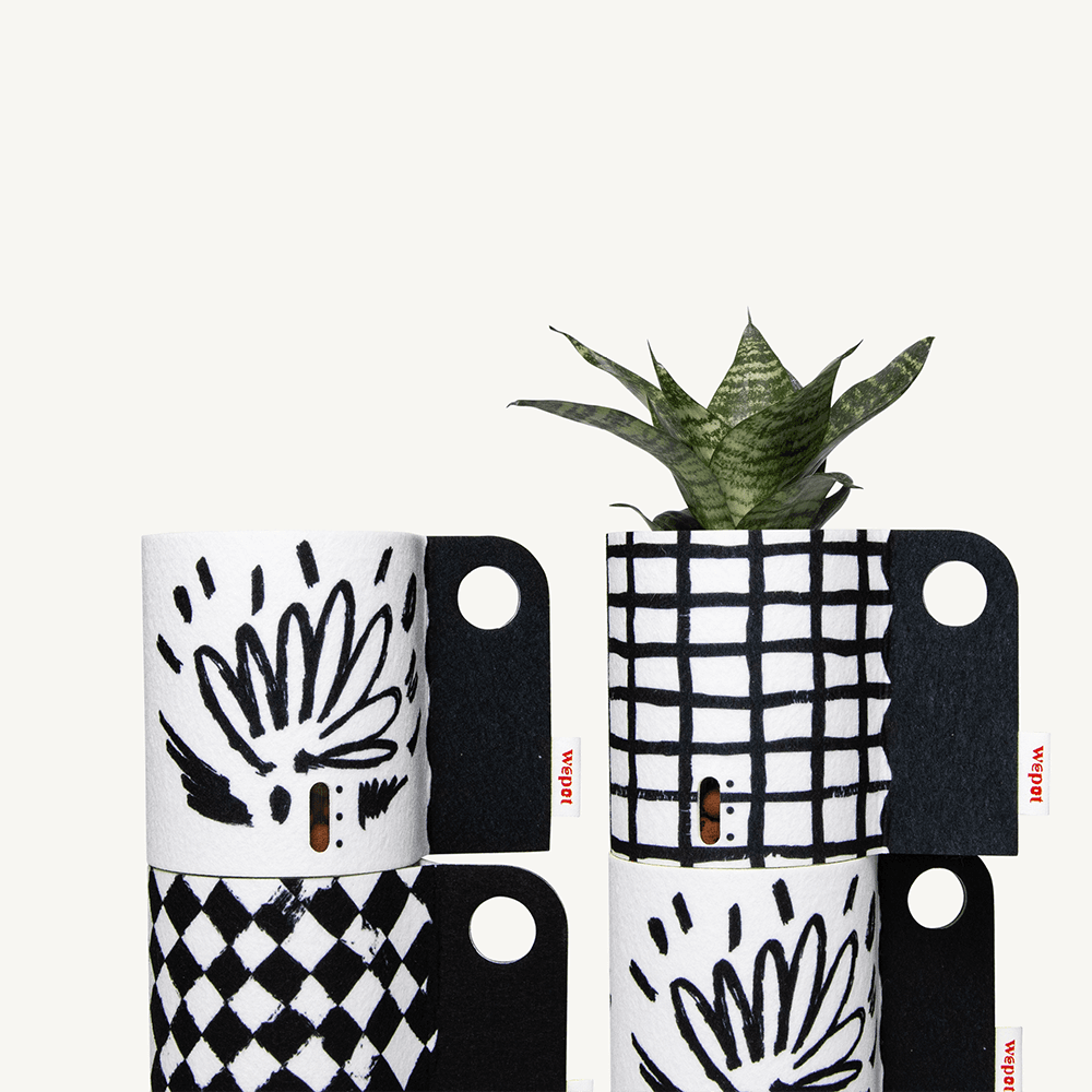 반수경재배 분갈이키트 레이어드 블랙 S