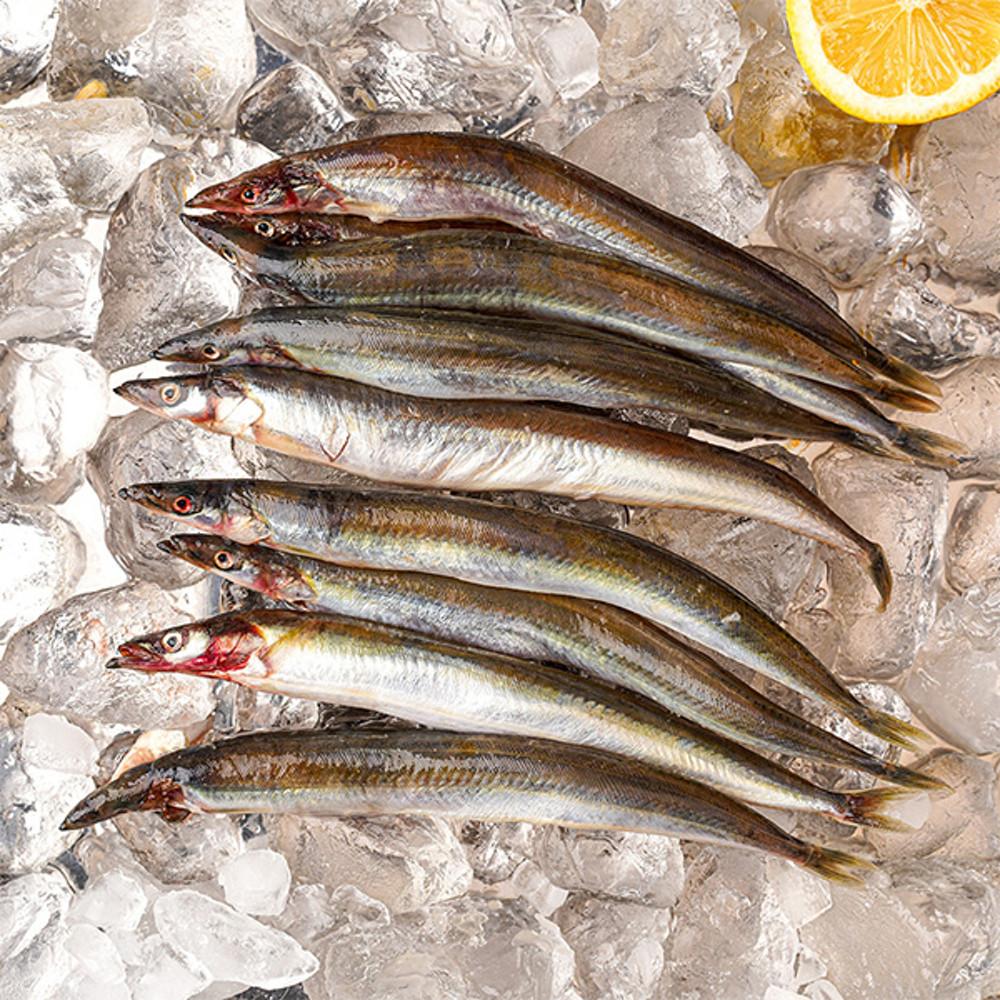 산지직송 고소한 강원도 속초 반건조 양미리 20마리 40마리 60마리