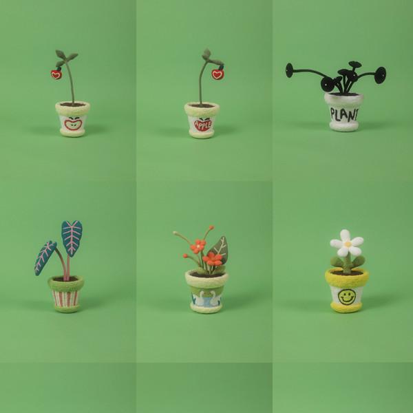 nidoi flower pot