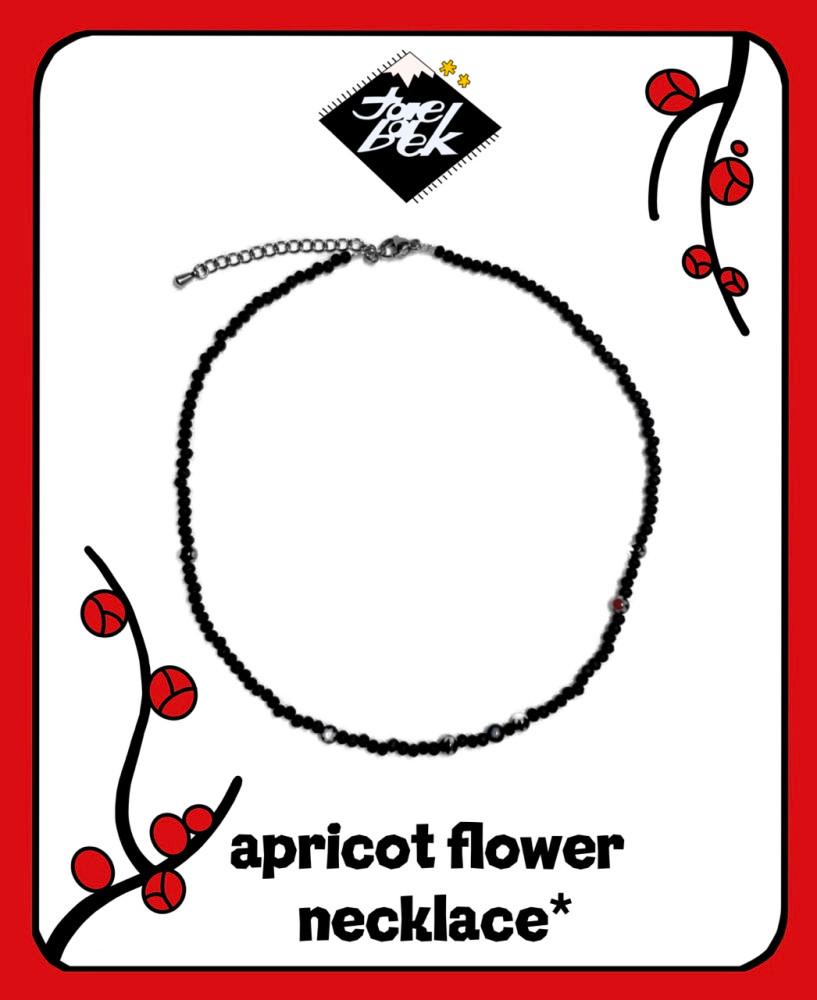 apricot flower{매화}.nk