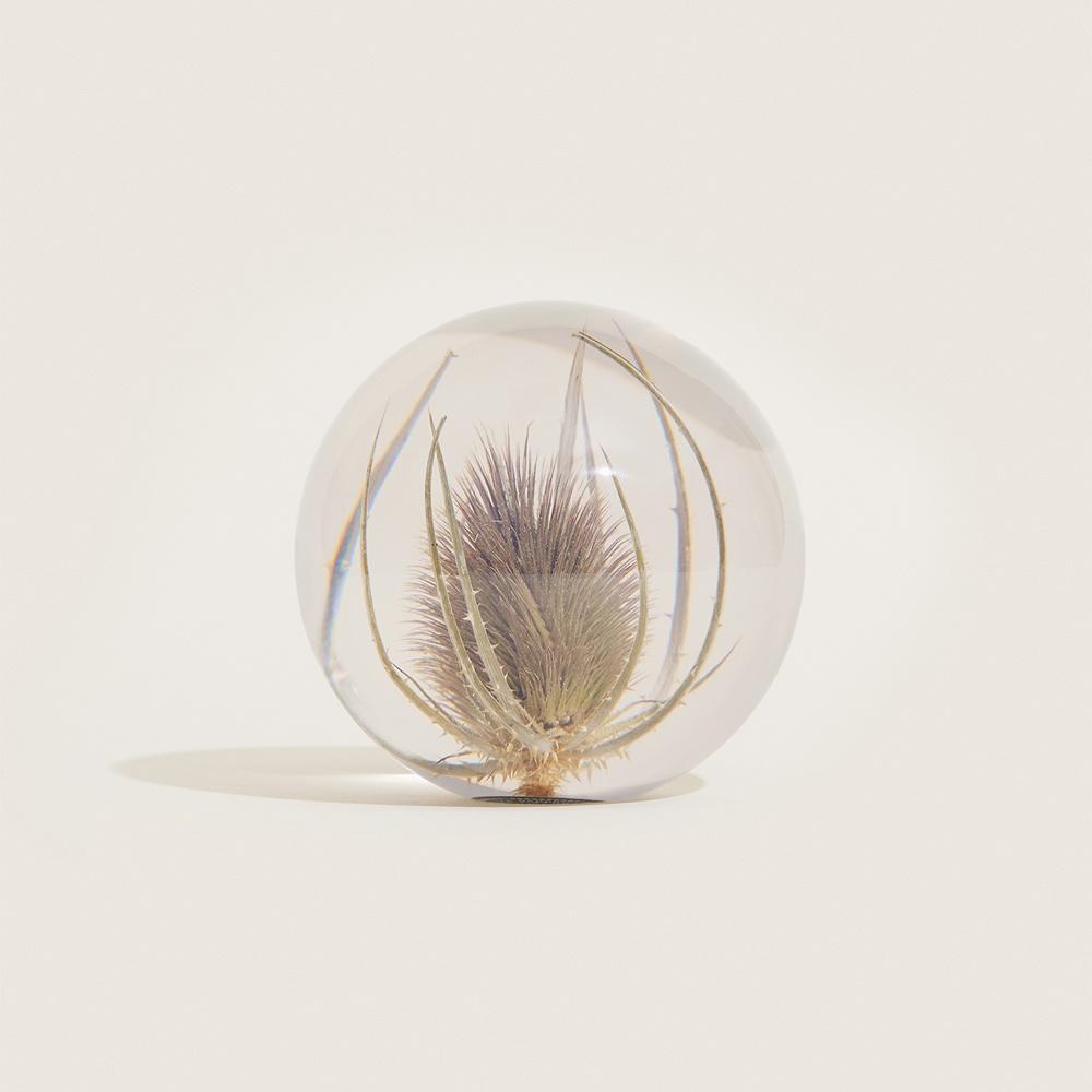 [Hafod Grange] Teasel Paperweight - Large