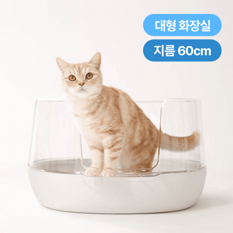 냥쌤 투명화장실 화이트 - 핏펫몰