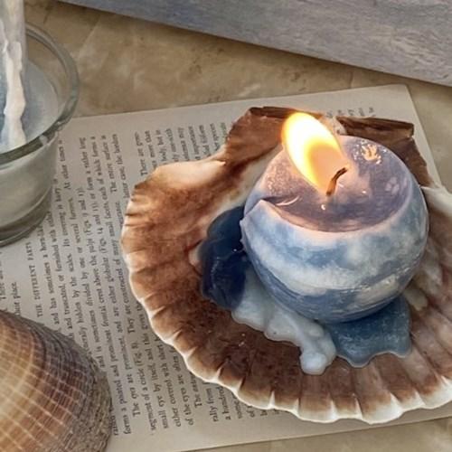 하우올리 바다 파도 캔들 조개트레이 SET