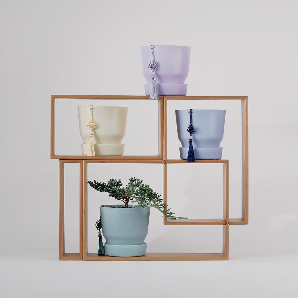 다즐링팟 매난국죽 화분