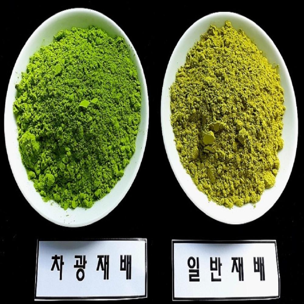 캐나다 수출 제주산  프리미엄 가루녹차(말차) 특100g 외 1종 [원산지:국산(제주특별자치도 서귀포시)]