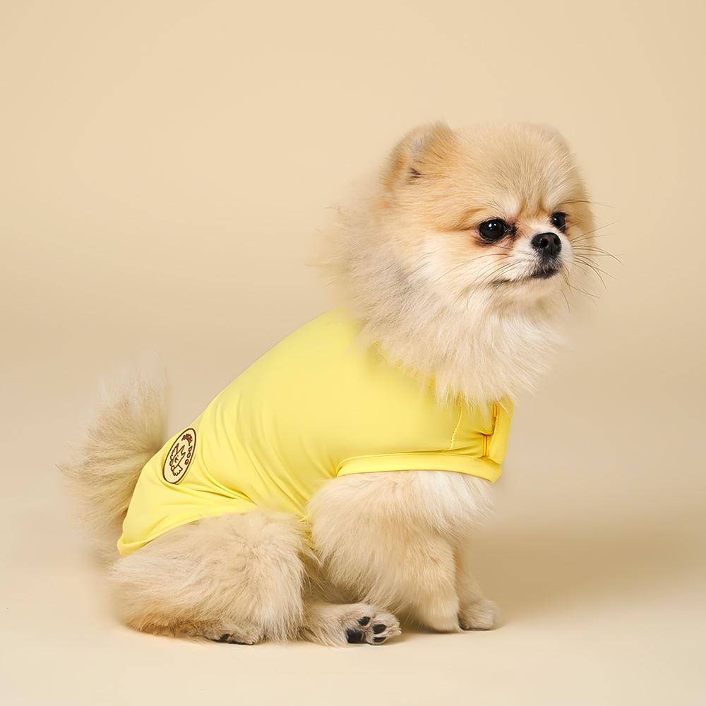 강아지 여름옷 개어리즘 쿨나시 Yellow