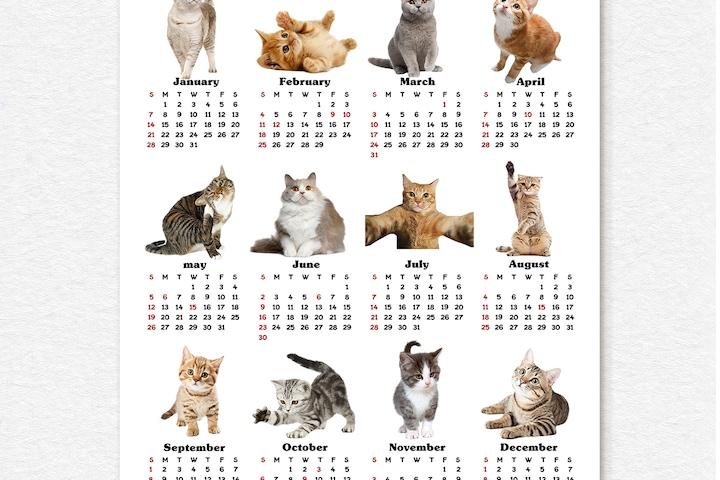 2024년 감성 오브제 포스터 달력 4. 고양이 달력