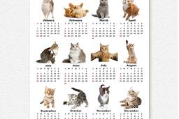 2024년 감성 오브제 포스터 달력 4. 고양이 달력