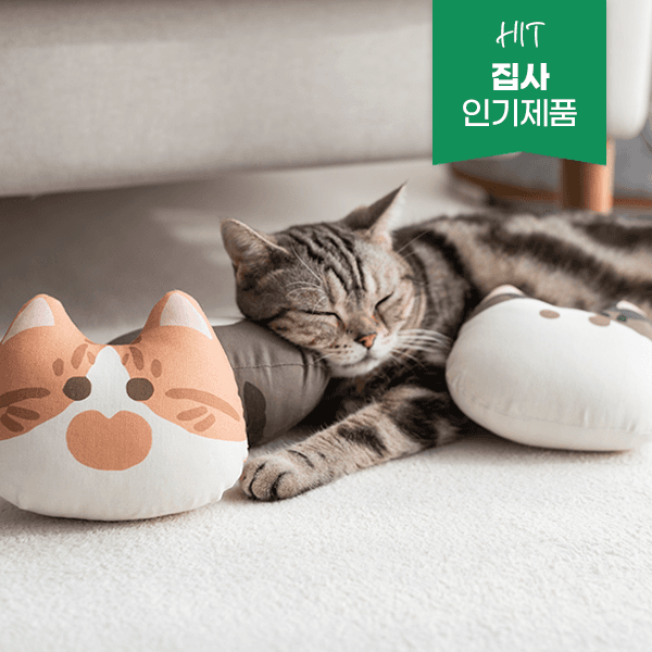 [리퍼 마켓] 고양이 애착인형 고양이 장난감 꼼냥 고로롱 캣츠패밀리 캣닢쿠션