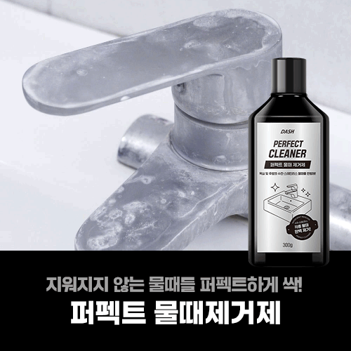 대쉬 퍼펙트 물때제거제 300g 수전세정제