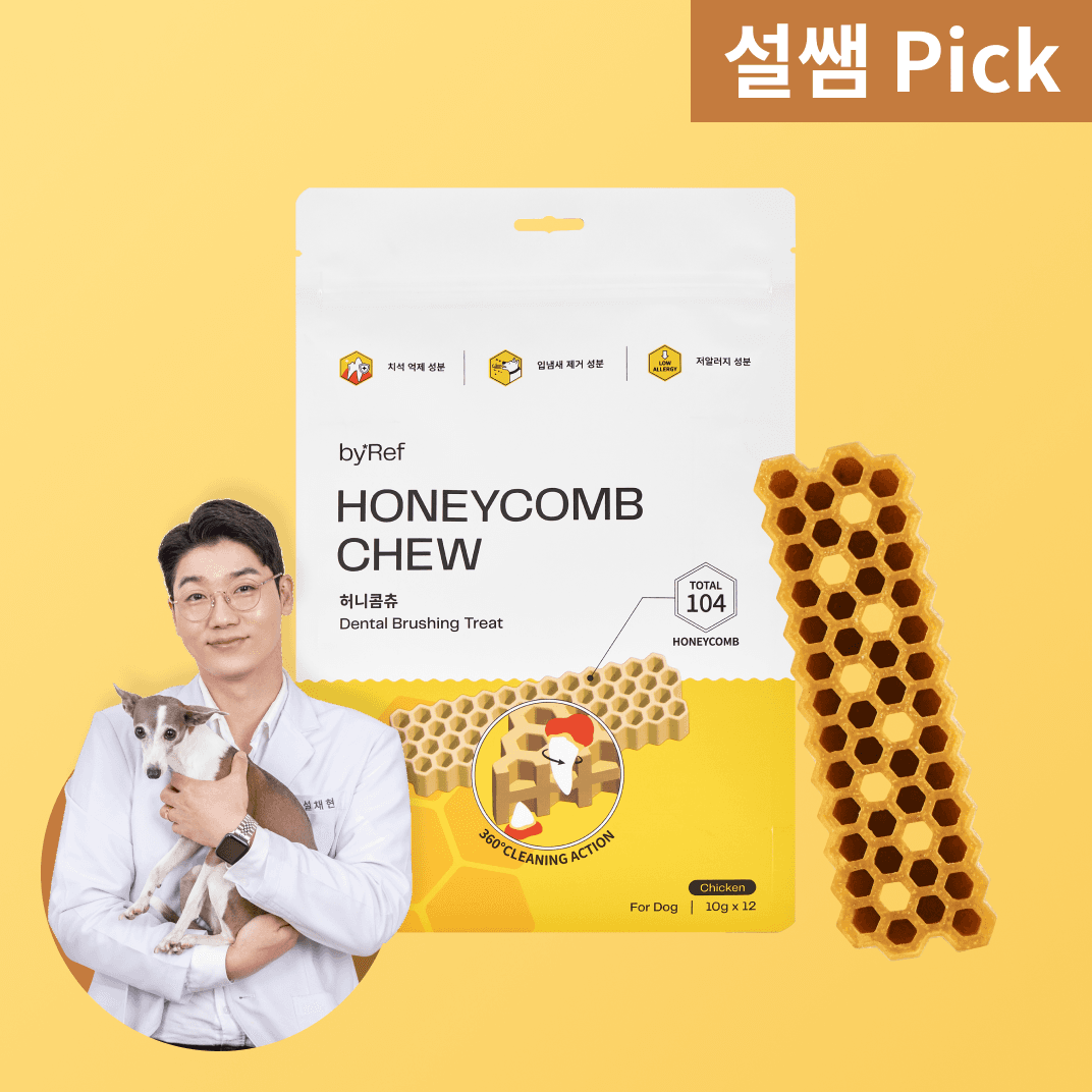 [설특가] 바이레프 허니콤츄 (1개입/12개입)