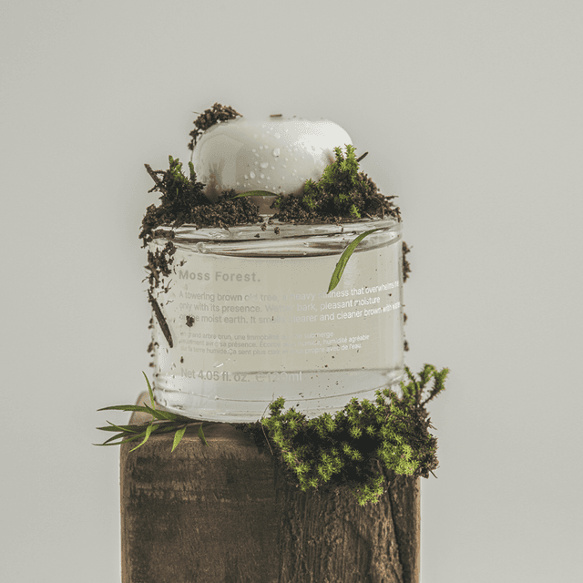 이끼숲 퍼퓸 디퓨저, Moss Forest. 120ML