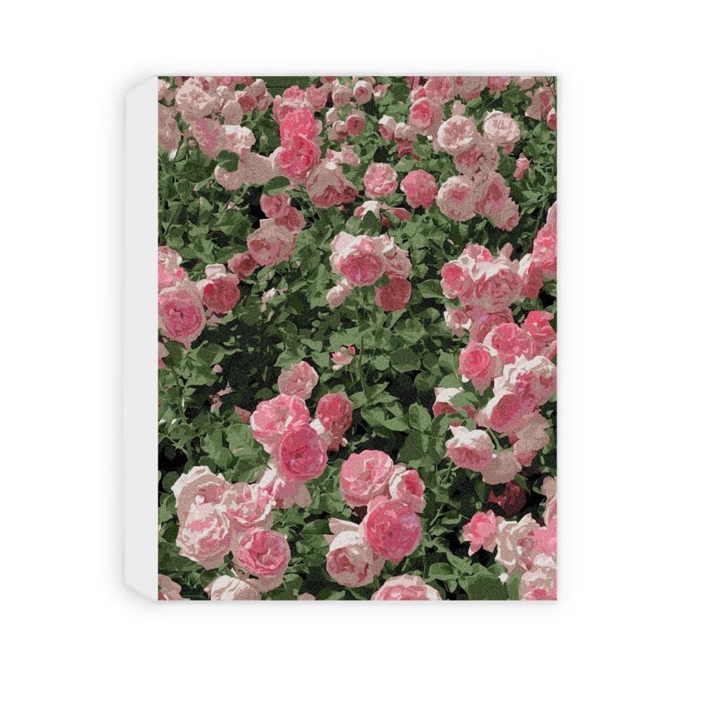 Summer's Rose