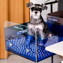 크리스탈 체어(blue edition set)