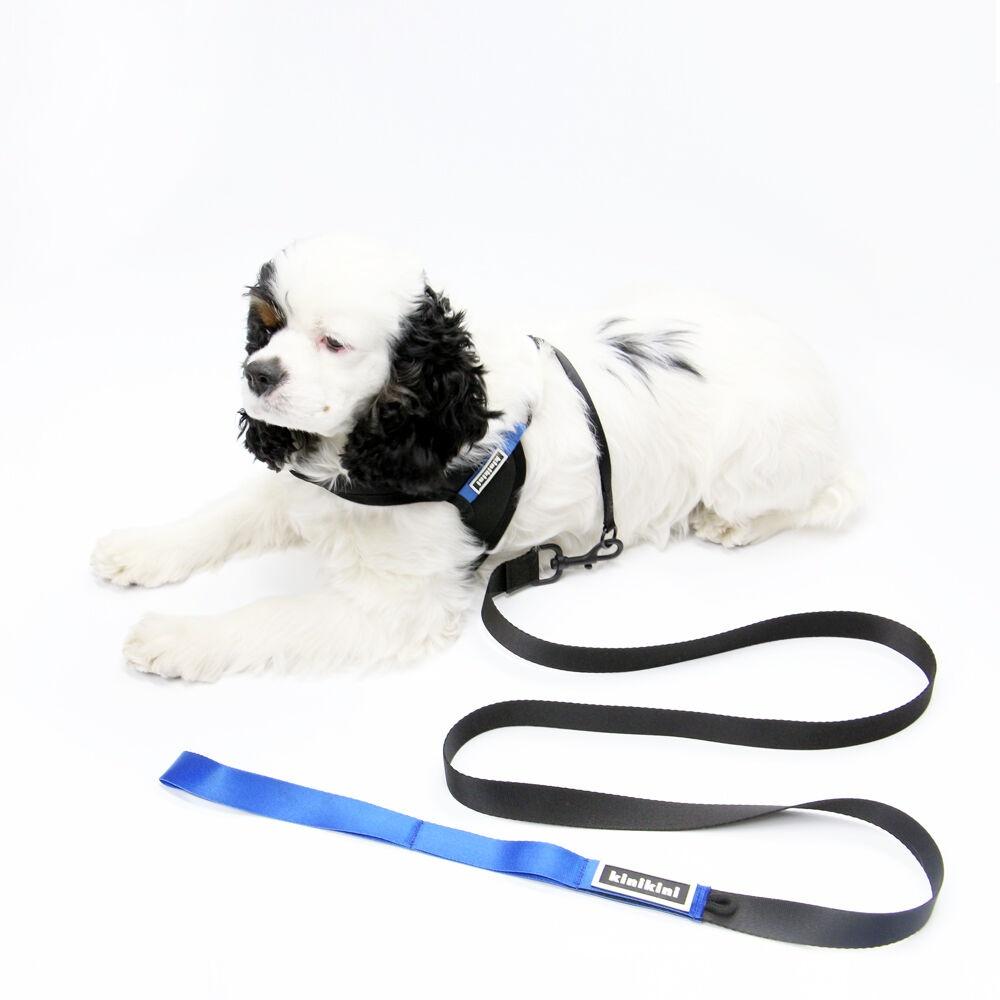 KINI SIGNATURE LEASH-BLACK/BLUE(리드줄)