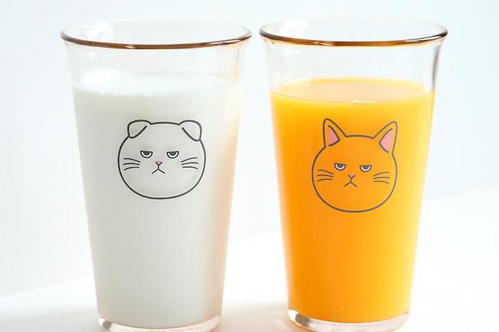 시바견 고양이 강화유리컵 2size