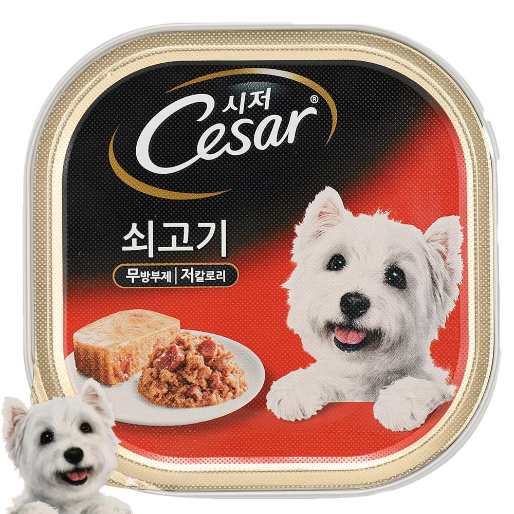 시저캔 쇠고기 100g 강아지 저칼로리 영양 주식캔