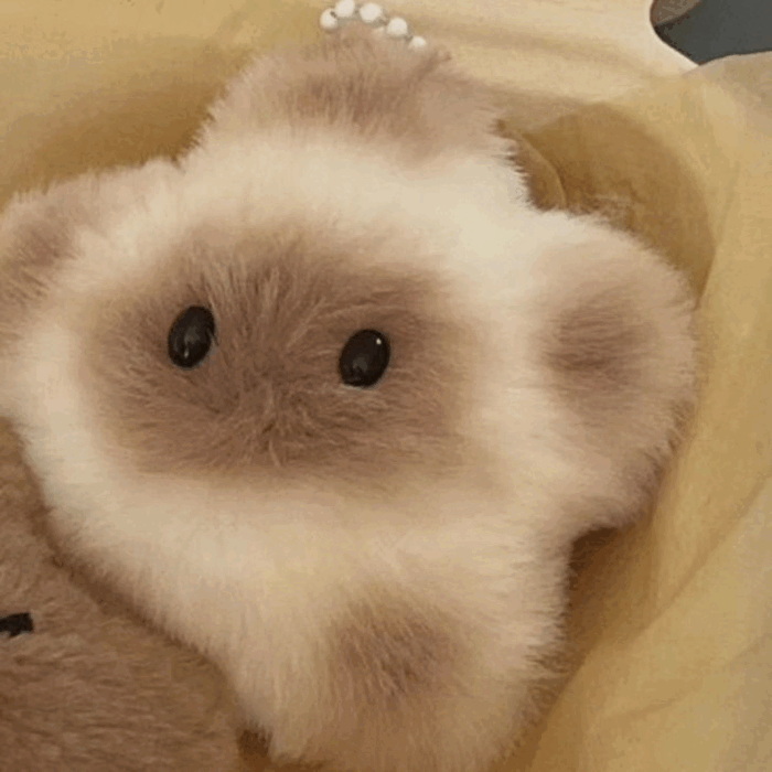 별가사리 햄찌 키링