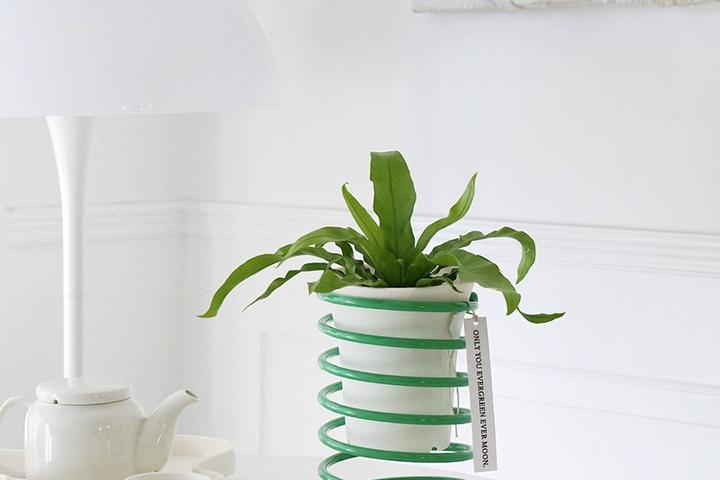 스프링 바운티 화분 스탠드, 디자인 화분받침대