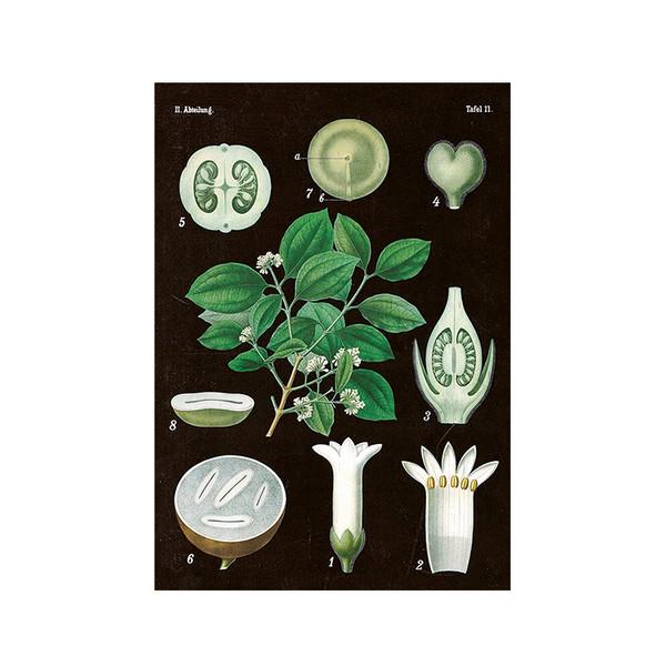 스코나팅 빈티지 엽서 skonating - ST326-3 Vintage Postcard