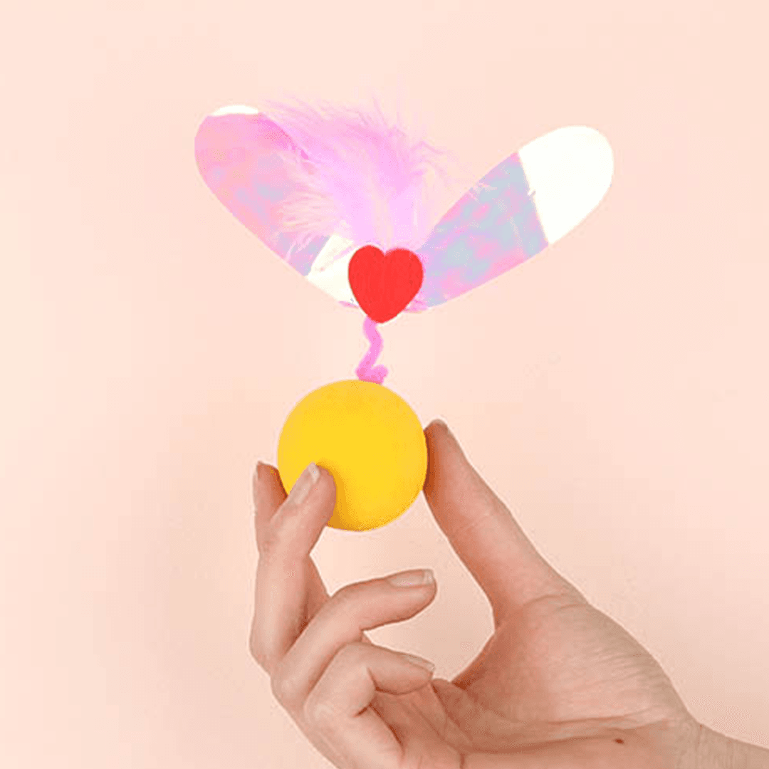 펫츠루트 카샤카샤 바스락바스락 장난감 하트