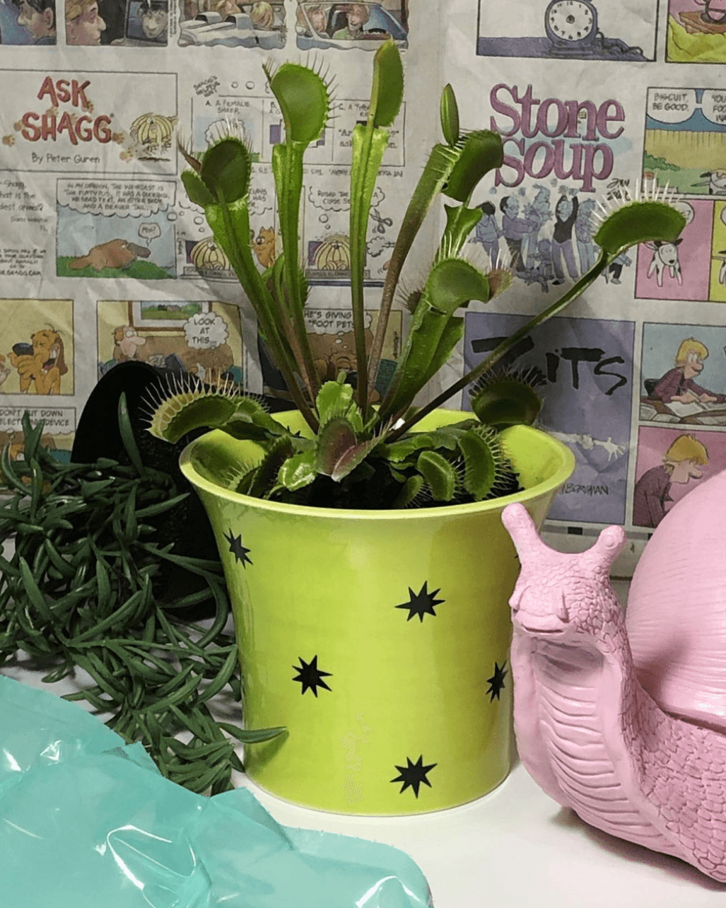 (Anticifate) Fate of the Stars Plant Pot